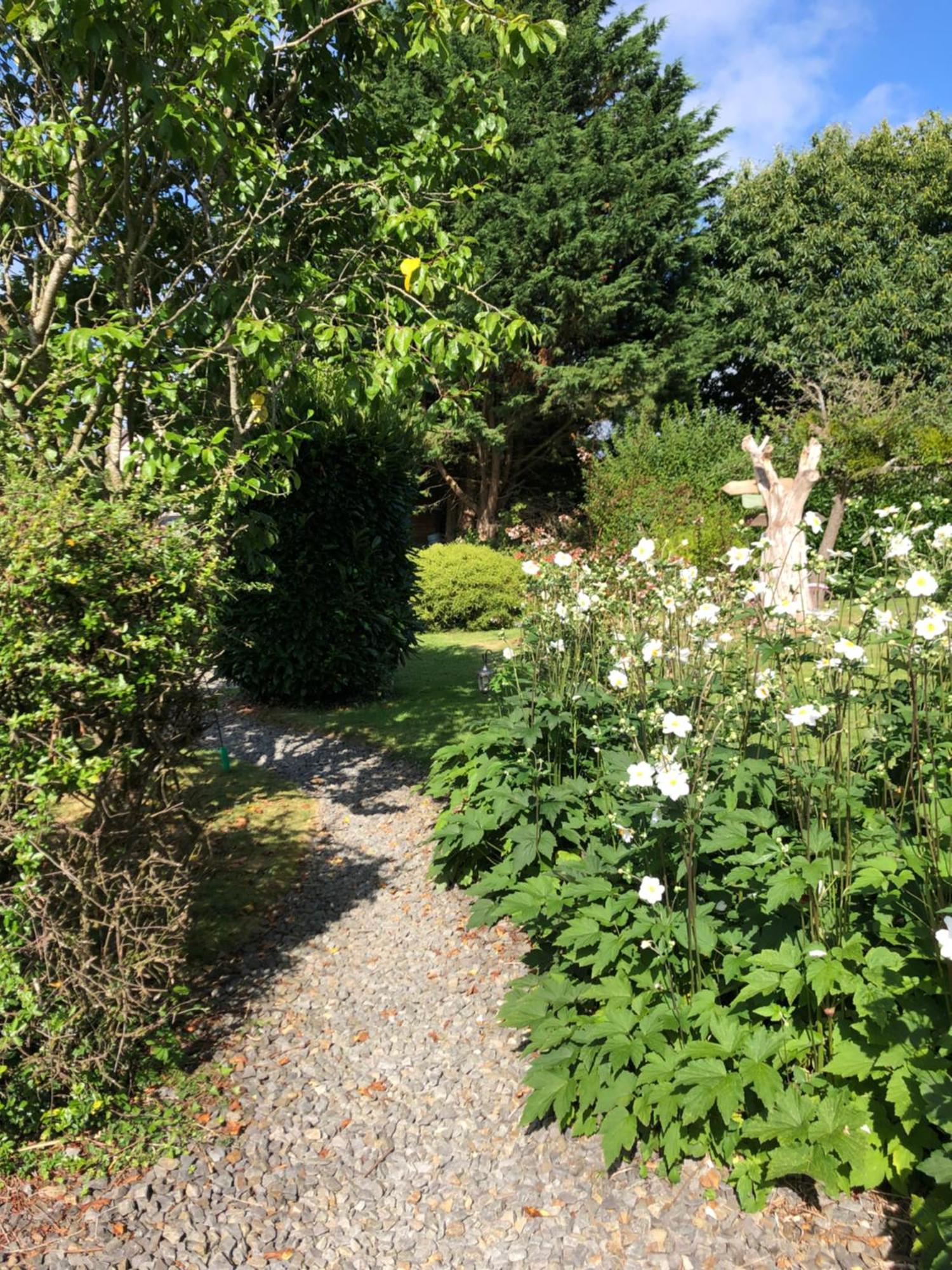 Jasmin Cottage With Seasonal Swimming Pool Le Mesnil-Gilbert Exterior foto